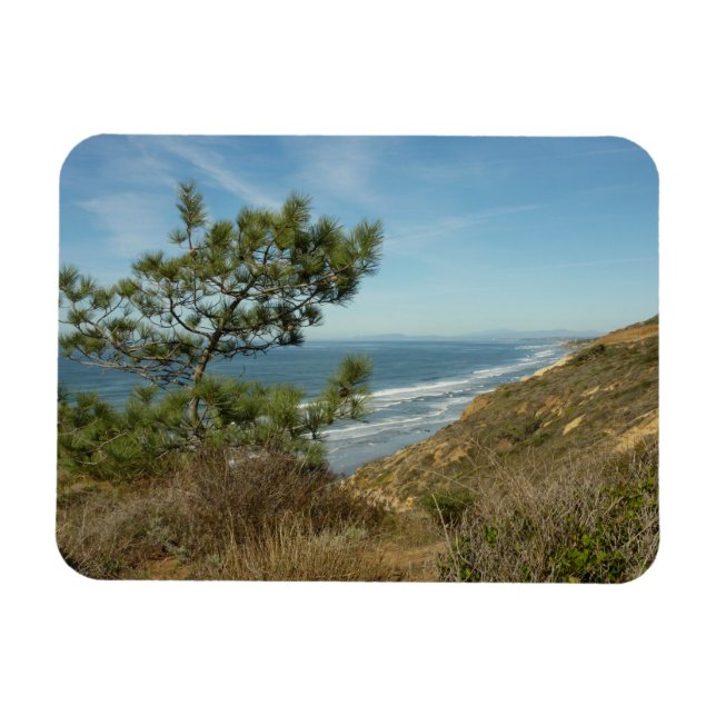 Magnet Flexible Torrey Pine and California Coastline Landscape (Horizontal)