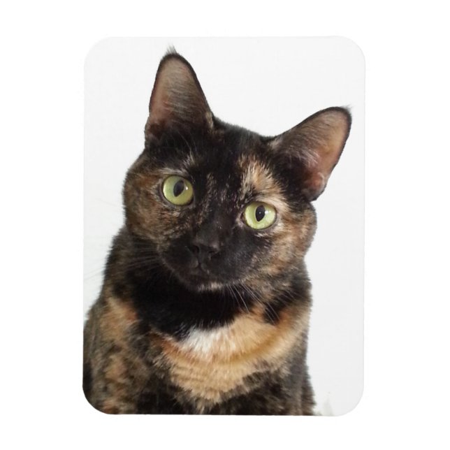 Magnet Flexible Tortoiseshell (Vertical)