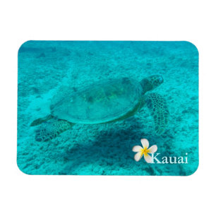 Magnet Flexible Tortue verte hawaïenne