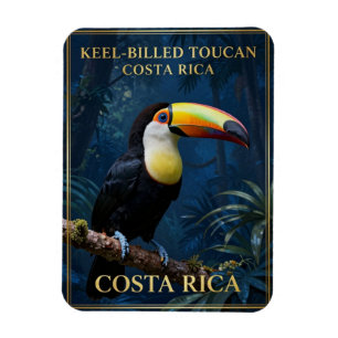Magnet Flexible Toucan à bec caréné, faune du Costa Rica