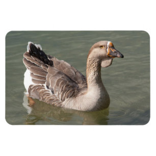 Magnet Flexible Toulouse Goose
