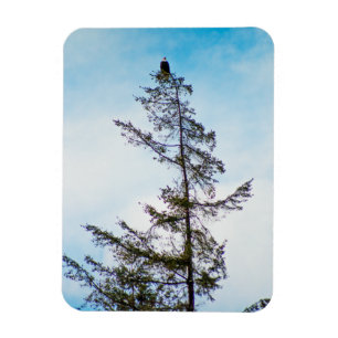 Magnet Flexible Tour de guet