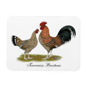Magnet Flexible Tournaisis Bantams