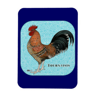 Magnet Flexible Tournaisis Rooster