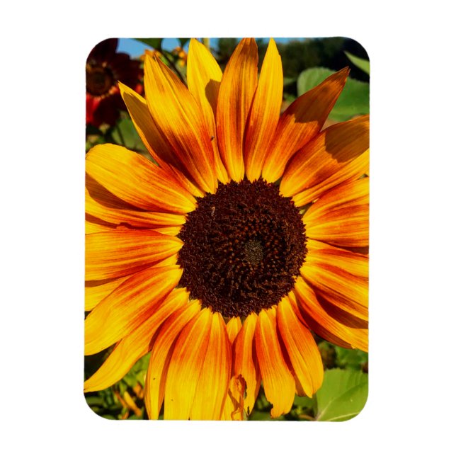 Magnet Flexible Tournesol (Vertical)