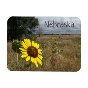 Magnet Flexible Tournesol, Ciel orageux, Paysage du Nebraska occid