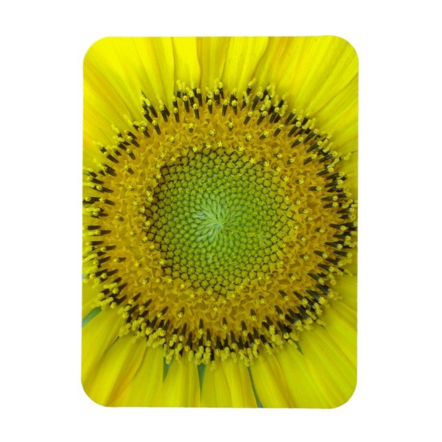 Magnet Flexible Tournesol jaune (Vertical)