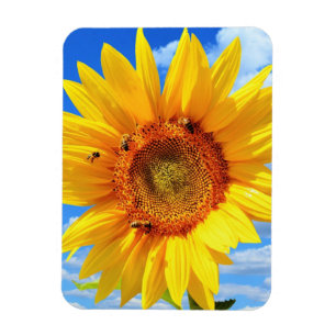 Magnet Flexible Tournesol jaune et abeilles sur le ciel bleu - Jou