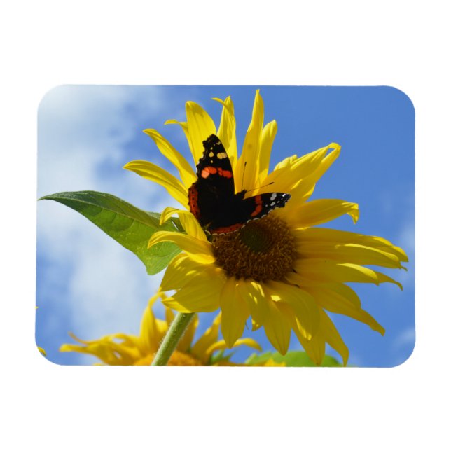 Magnet Flexible Tournesol jaune et papillon de l'amiral rouge (Horizontal)