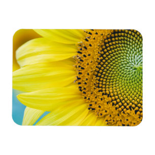 Magnet Flexible Tournesol lumineux