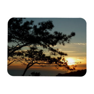 Magnet Flexible Tourrey Pine Sunset I California Paysage