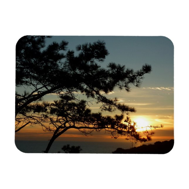 Magnet Flexible Tourrey Pine Sunset I California Paysage (Horizontal)