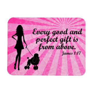 Magnet Flexible Tout bon et parfait cadeau James 1:17 Christian