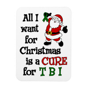 Magnet Flexible Tout Ce Que Je Veux Pour Noël...TBI