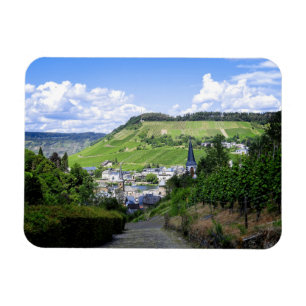 Magnet Flexible Traben-Trarbach vu d'en haut