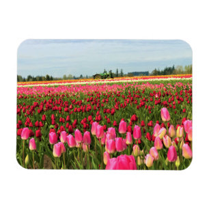 Magnet Flexible Tracteur vert en Tulip Field, Oregon