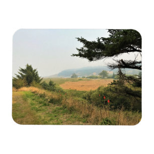 Magnet Flexible Trail at Cape Blanco