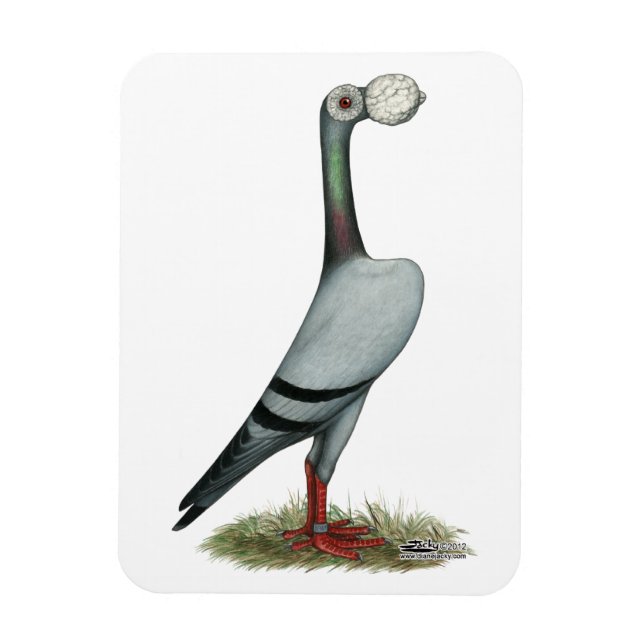 Magnet Flexible Transporteur Pigeon 2012 (Vertical)