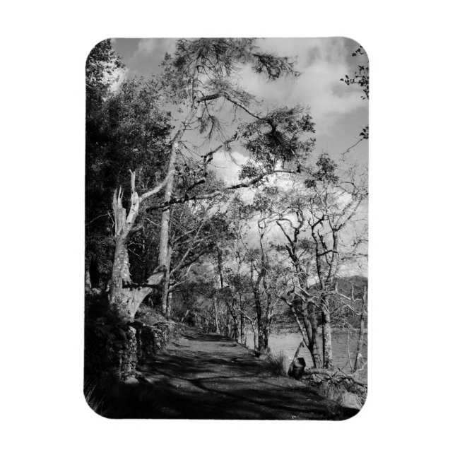 MAGNET FLEXIBLE TREES (Vertical)