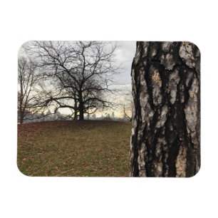 Magnet Flexible Trees New York NYC Sunrise Central Park Skyline