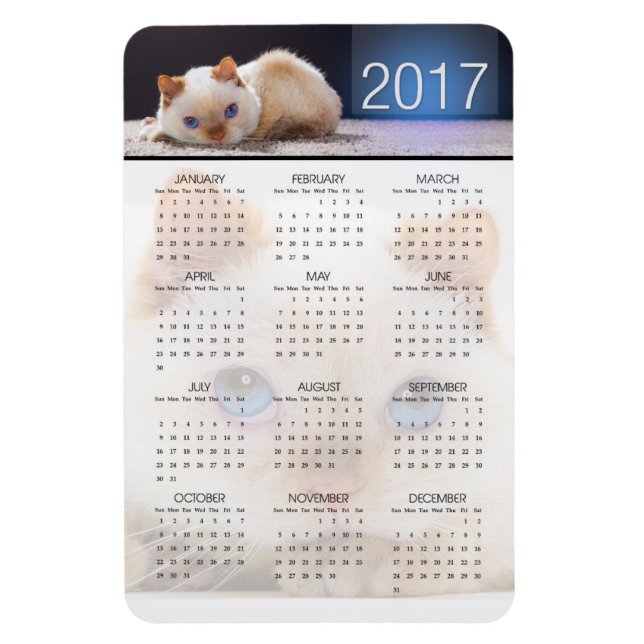Magnet Flexible Trident le calendrier magnétique du chat 01 (Vertical)