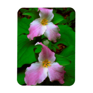 Magnet Flexible Trillium Fleur sauvage