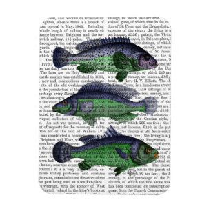Magnet Flexible Trio bleu et vert de poissons