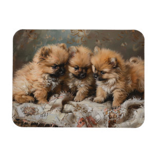 Magnet Flexible Trio Chiot Poméranien Vintage Flexible