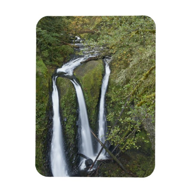 Magnet Flexible Triple Falls, gorge du Columbia (Vertical)