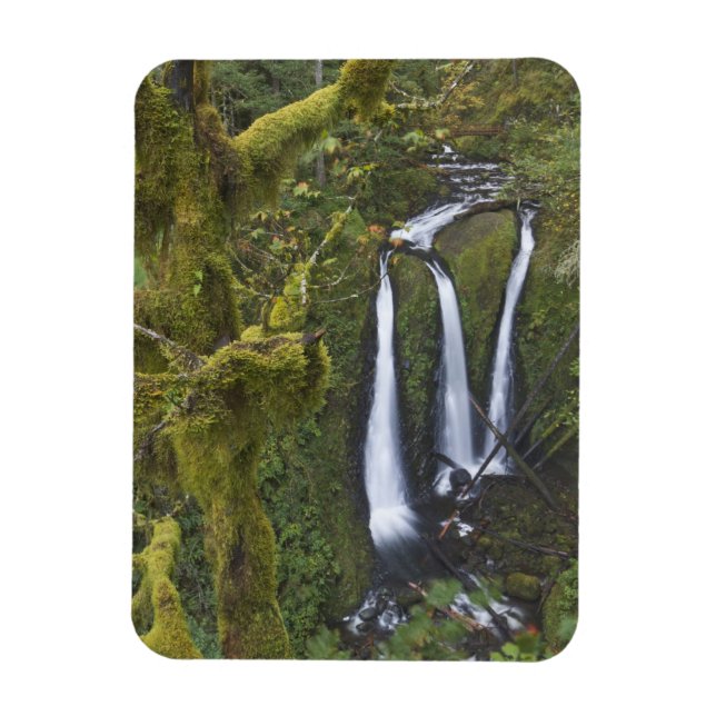 Magnet Flexible Triple Falls, gorge du Columbia (Vertical)