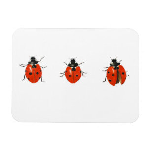 Magnet Flexible Trois coccinelles 2013