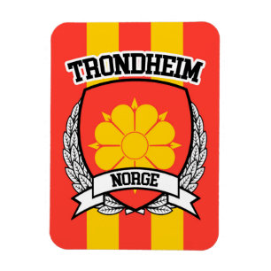 Magnet Flexible Trondheim