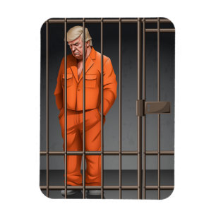 Magnet Flexible Trump en prison Aimant photo flexible
