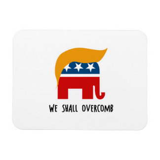 Magnet Flexible Trumplican - Nous Devrons Surmonter