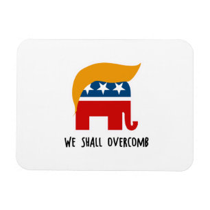 Magnet Flexible Trumplican - nous Overcomb