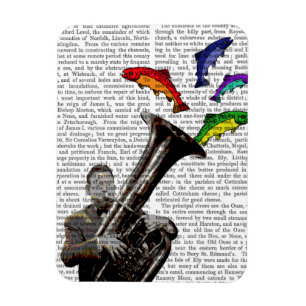 Magnet Flexible Tuba Et Poisson