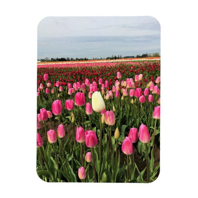 Magnet Flexible Tulip Farm (Vertical)