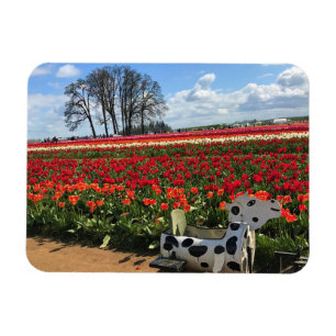 Magnet Flexible Tulip Field avec Toy Cow, Oregon