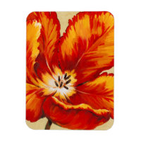 Tulipe de perroquet I