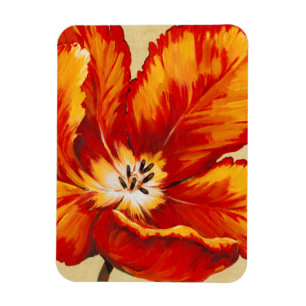 Magnet Flexible Tulipe de perroquet I
