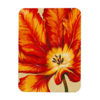 Tulipe de perroquet II