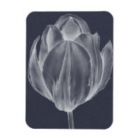 Tulipe monochrome I