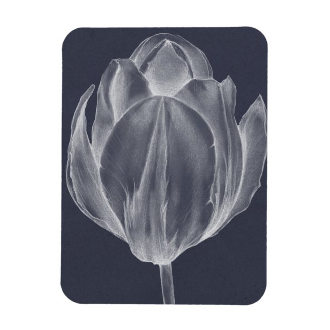Magnet Flexible Tulipe monochrome I (Vertical)