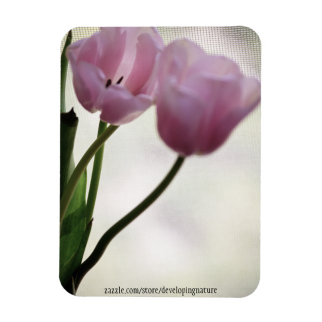 Magnet Flexible Tulipes 3265 (Vertical)
