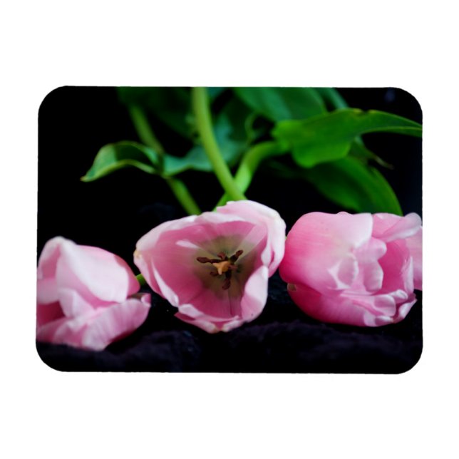 Magnet Flexible Tulipes 3273 (Horizontal)