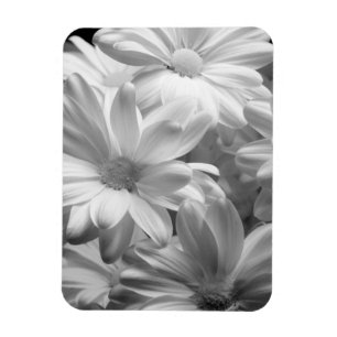 Magnet Flexible Tulipes dans les jardins de Keukenhof, Hollande. 2