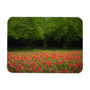 Magnet Flexible Tulips et Trees