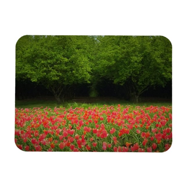 Magnet Flexible Tulips et Trees (Horizontal)