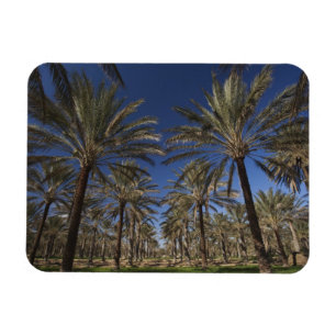 Magnet Flexible Tunisie, désert du Sahara, Douz, Zone Touristique,