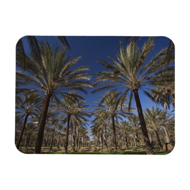 Magnet Flexible Tunisie, Sahara Desert, Douz, Zone Touristique, 2 (Horizontal)